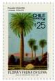 Colnect-673-893-Chilean-Palm-Jubaea-chilensis.jpg
