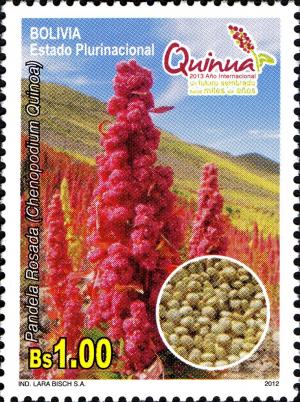 Colnect-4516-528-Quinoa-Flowers.jpg