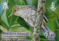 Colnect-5895-699-Pitcairn-Islands%E2%80%99-Reed-Warbler-Acrocephalus-vaughani.jpg