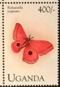 Colnect-5952-926-Moth-Rohaniella-Pigmaea.jpg