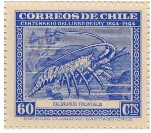 Colnect-1990-449-Juan-Fernandez-Rock-Lobster-Jasus-frontalis.jpg
