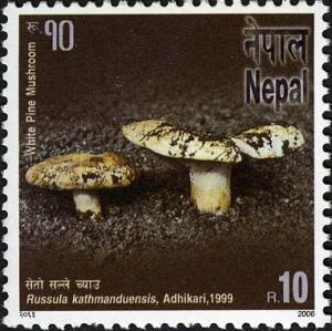 Colnect-550-672-Bio-diversity-series---Russula-kathmanduensis-Adhikari-199.jpg