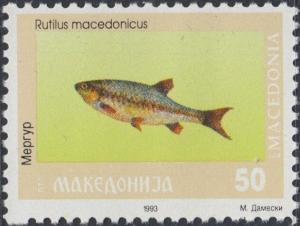Colnect-5600-373-Macedonian-Roach-Rutilus-macedonicus.jpg