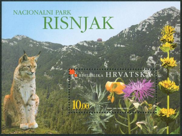 Colnect-5684-414-Lynx-in-Risnjak-National-Park.jpg