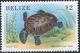 Colnect-2184-940-Central-American-River-Turtle-Dermatemys-mawaii-.jpg