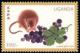 Colnect-6024-590-Rat-and-grapes.jpg