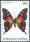 Colnect-1018-577-Purple-Spotted-Swallowtail-Graphium-weiskei.jpg
