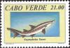 Colnect-1129-279-Sand-Tiger-Shark-Eugomphodus-taurus-.jpg
