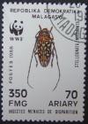 Colnect-1278-220-Beetle-Stellognata-maculata.jpg