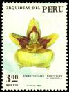 Colnect-1406-454-Orchids---Sigmatostalix-peruviana.jpg
