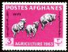 Colnect-1444-686-Karakul-Sheep-Ovis-ammon-aries.jpg