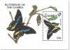Colnect-1975-640-Green-banded-Swallowtail-Papillio-nireus.jpg