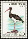 Colnect-2194-502-Black-Stork-Ciconia-nigra.jpg