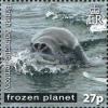 Colnect-2887-988-Leopard-Seal-Hydrurga-leptonyx.jpg