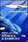 Colnect-4112-754-Caribben-reef-shark-short-fin-pilot-whale.jpg