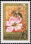 Colnect-4142-984-Bee-Apis-sp-on-Flower-Honeycomb.jpg