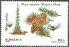 Colnect-754-855-Serbian-Spruce-Picea-omorika-.jpg