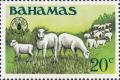 Colnect-4543-108-Domestic-Sheep-Ovis-ammon-aries.jpg