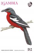 Colnect-5593-945-Crimson-breasted-Shrike-Laniarius-atrococcineus.jpg