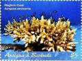 Colnect-6436-316-Staghorn-Coral.jpg