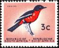 Colnect-768-839-Crimson-breasted-Shrike-Laniarius-atrococcineus.jpg