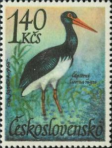 Colnect-438-920-Black-Stork-Ciconia-nigra.jpg