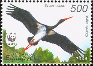 Colnect-1059-053-Black-stork-Ciconia-nigra.jpg