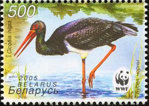 Colnect-1059-054-Black-stork-Ciconia-nigra.jpg