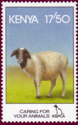 Colnect-1331-854-Domestic-Sheep-Ovis-ammon-aries.jpg