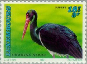 Colnect-134-854-Black-Stork-Ciconia-nigra.jpg