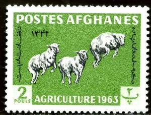 Colnect-1444-685-Karakul-Sheep-Ovis-ammon-aries.jpg