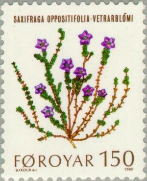 Colnect-189-092-Flowers---Saxifraga-oppositifolia.jpg