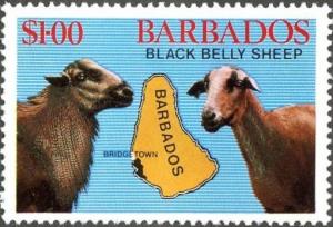 Colnect-2022-828-Black-Belly-Sheep-Ovis-ammon-aries-Map.jpg