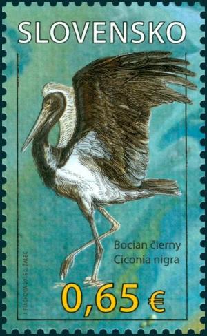 Colnect-2961-467-Black-Stork-Ciconia-nigra.jpg