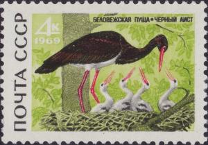 Colnect-3242-250-Black-Stork-Ciconia-nigra.jpg