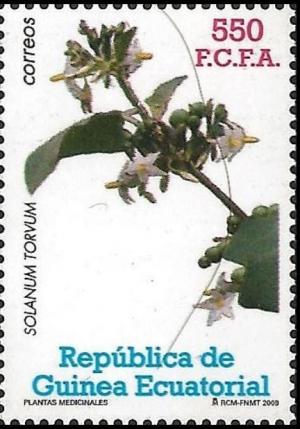 Colnect-3425-251-Solanum-torvum.jpg