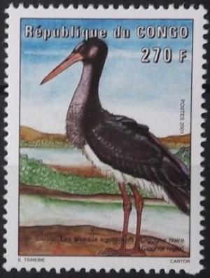 Colnect-4544-628-Black-Stork-Ciconia-nigra.jpg