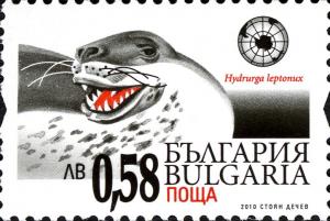 Colnect-5146-839-Leopard-Seal-Hydrurga-leptonyx.jpg