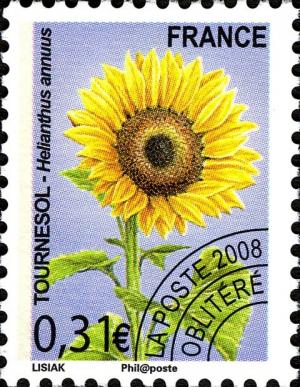Colnect-587-225-precancelled---Sunflower-Helianthus-annuus.jpg