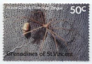 Colnect-954-528-Arrow-Crab-Stenorhynchus-seticornis.jpg