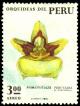 Colnect-1406-454-Orchids---Sigmatostalix-peruviana.jpg
