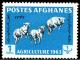 Colnect-1444-684-Karakul-Sheep-Ovis-ammon-aries.jpg