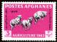 Colnect-1444-686-Karakul-Sheep-Ovis-ammon-aries.jpg