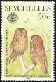 Colnect-1721-640-Seychelles-Scops-Owl%C2%A0Otus-insularis.jpg