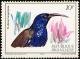 Colnect-1780-805-Blue-headed-Sunbird-Cyanomitra-alinae.jpg