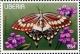 Colnect-2288-663-Western-Emperor-Swallowtail-Papilio-menestheus.jpg