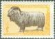 Colnect-3156-287-Karakul-Sheep-Ovis-ammon-aries.jpg