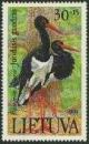 Colnect-348-512-Black-Stork-Ciconia-nigra.jpg