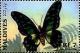 Colnect-4182-805-Electric-Green-Swordtail-Papilio-tynderaeus.jpg