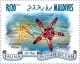 Colnect-4291-000-Horned-Sea-Star-Protoreaster-nodosus.jpg